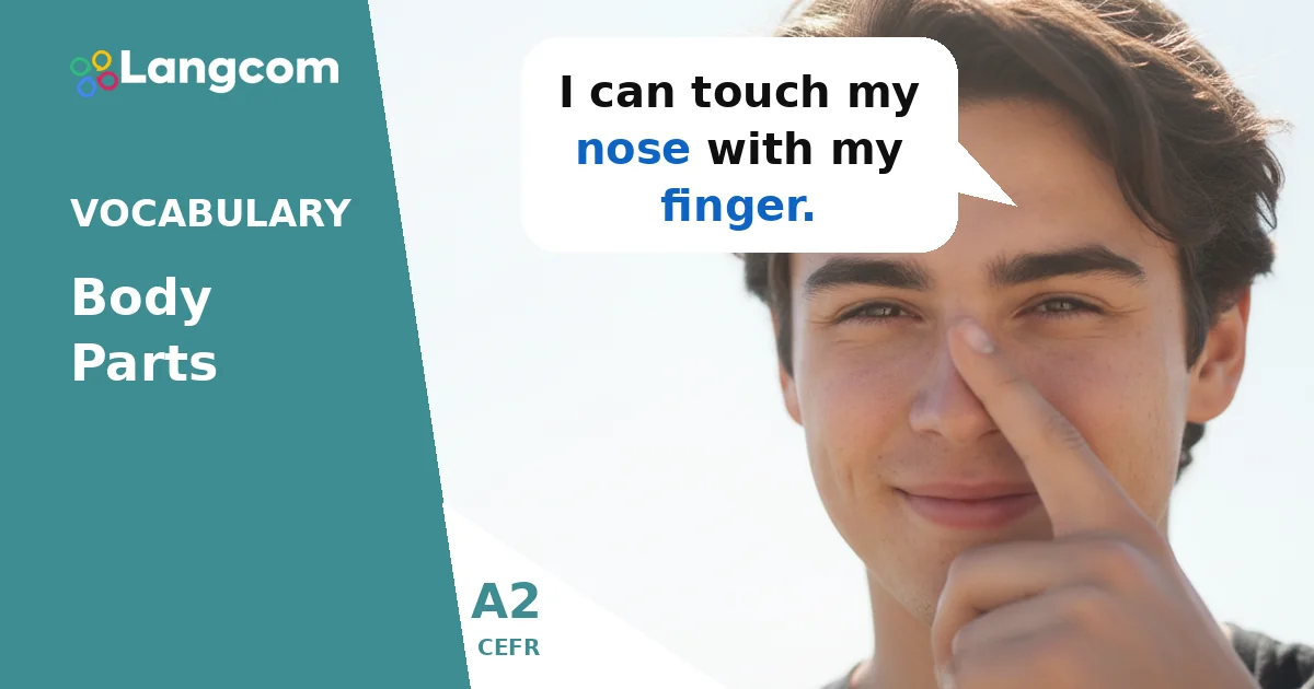 Learn Essential Body Parts in English (A2 Level) Learn Essential Body Parts in English (A2 Level) — A2 English vocabulary lesson by Langcom